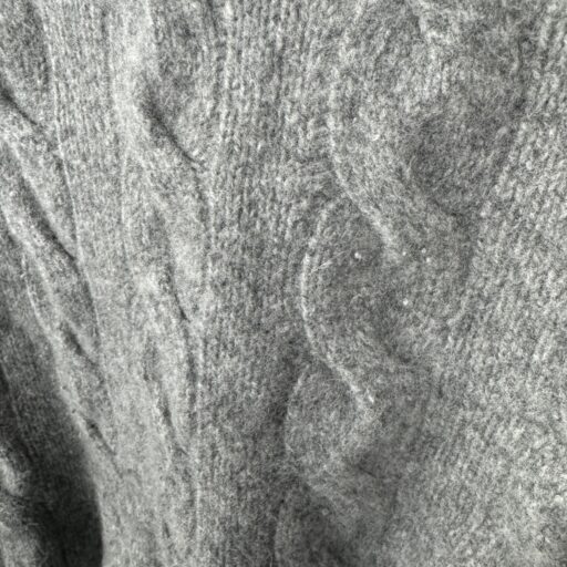 Ralph Lauren cable knit pulóver